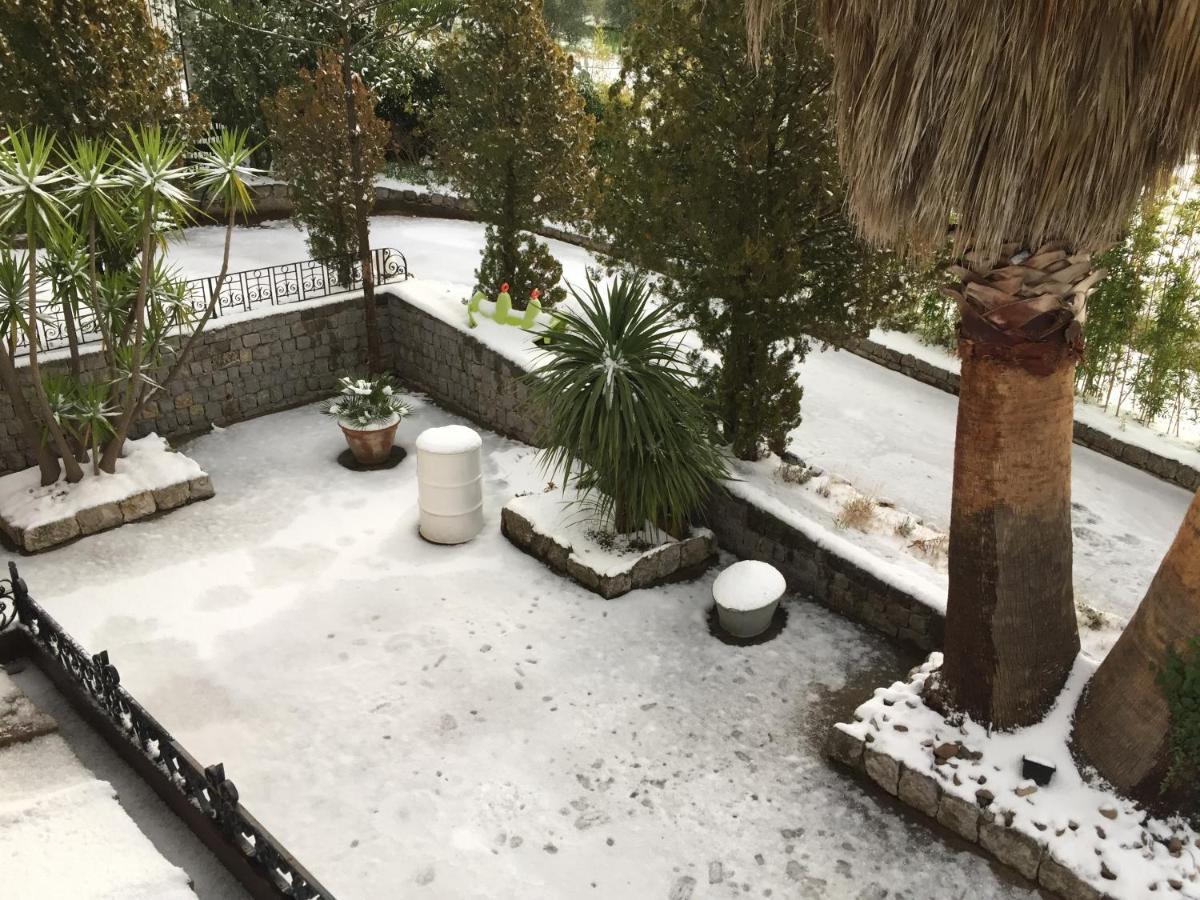 Villa Calcerame Montelepre Εξωτερικό φωτογραφία